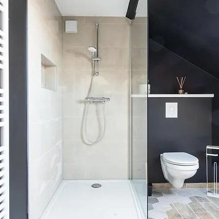 Les Coulisses - Duplex Au Centre - Parking Prive Daire Colmar